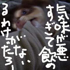c0036617_187860.jpg