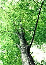 f0100920_17253259.jpg