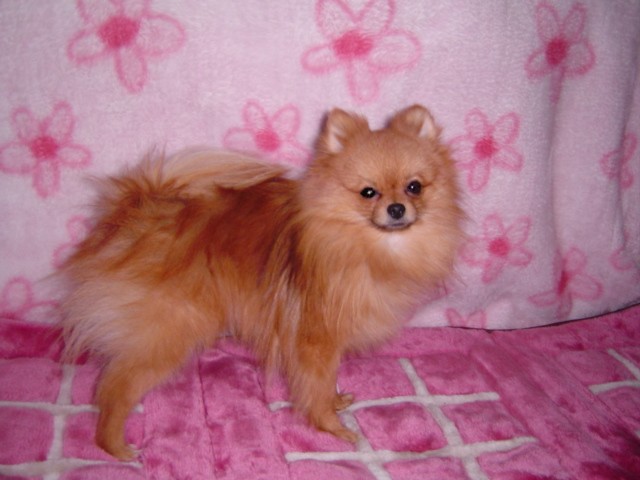 f0012924_2323694.jpg