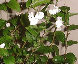 f0060424_0194768.jpg