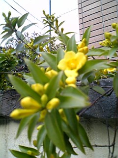 e0016828_22483730.jpg