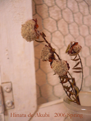 f0006732_16423914.jpg
