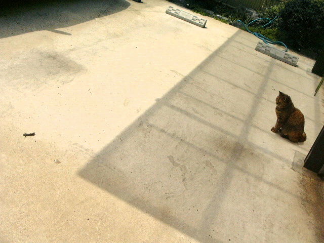 c0073633_2173035.jpg