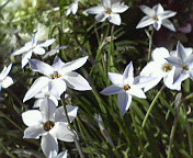c0046340_2118128.jpg