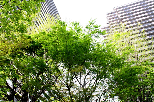 a0051443_2244716.jpg