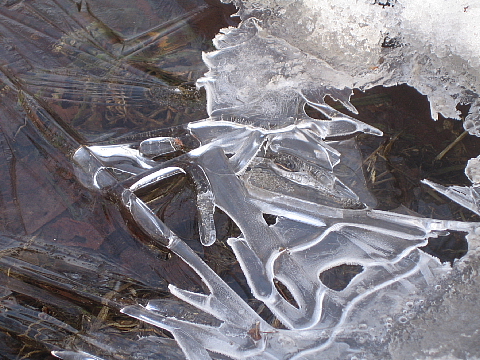 b0075046_21335075.jpg