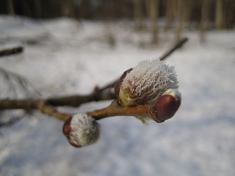 b0075046_21342055.jpg