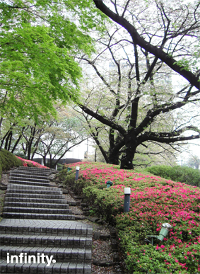 c0069552_14443585.jpg