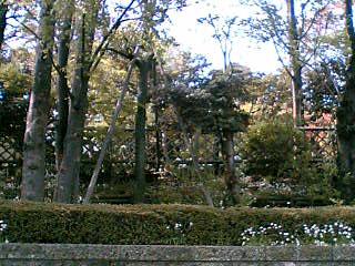 e0083359_224336.jpg