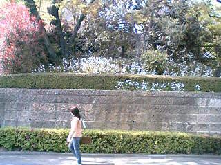 e0083359_2263561.jpg