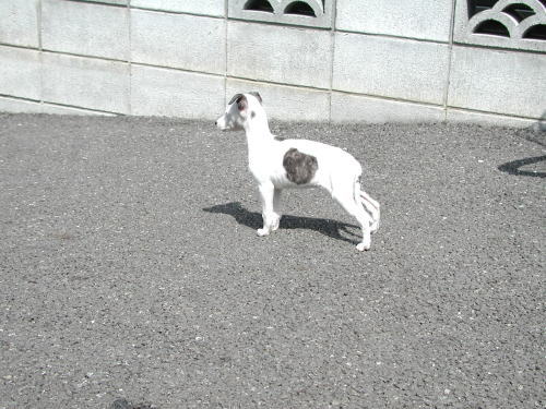 e0003270_21124760.jpg
