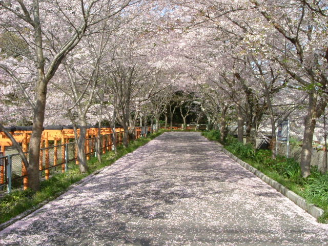 b0055171_23401670.jpg