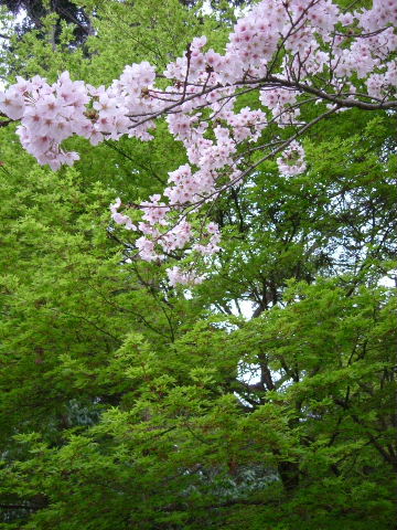 b0055171_23403562.jpg