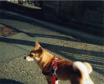 e0036571_1465990.jpg