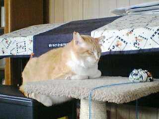 f0095271_23302617.jpg