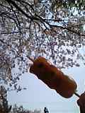 c0072572_13542569.jpg