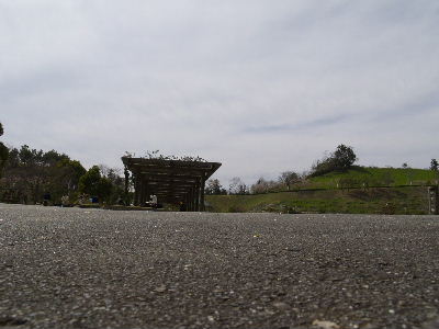 b0027880_055652.jpg
