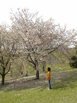 b0027880_0572.jpg