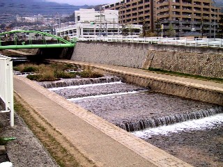 b0073782_1516516.jpg