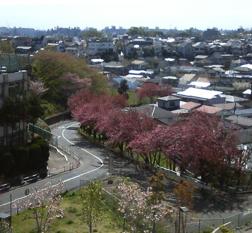 f0018790_0503846.jpg