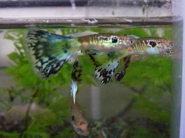 e0010301_1625988.jpg