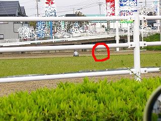 d0046905_1218884.jpg