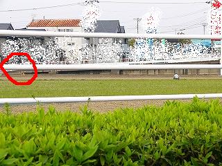 d0046905_12204170.jpg