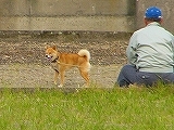 d0046905_12292558.jpg