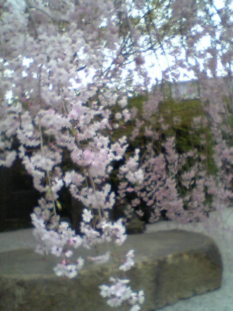d0000607_14131622.jpg