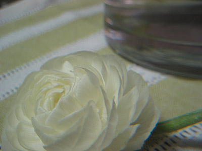 a0041508_21162438.jpg