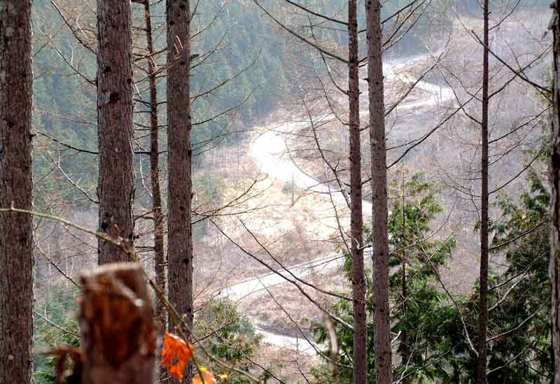 e0001110_6211773.jpg