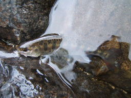 f0079411_2314351.jpg