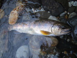 f0079411_2315789.jpg