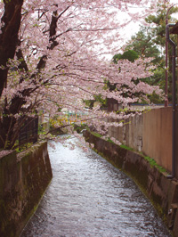 a0047618_19555387.jpg