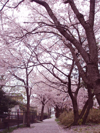 a0047618_19561022.jpg
