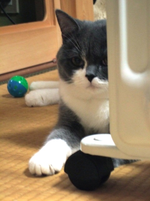 f0032020_14555015.jpg