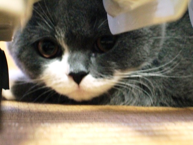 f0032020_14564989.jpg