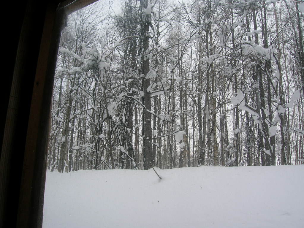 f0051125_19292080.jpg