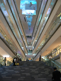 a0058135_19271528.jpg
