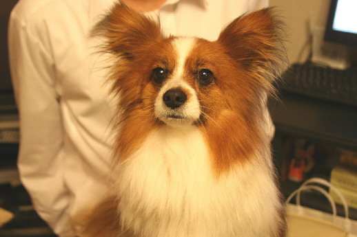 d0013149_872762.jpg