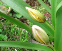 e0002850_212467.jpg