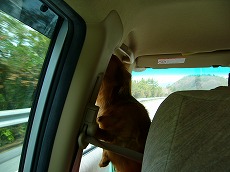 f0056250_0354067.jpg