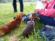 f0056250_0381961.jpg