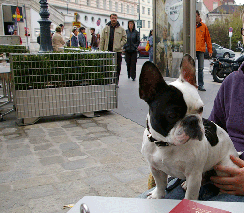 f0077150_4301465.gif
