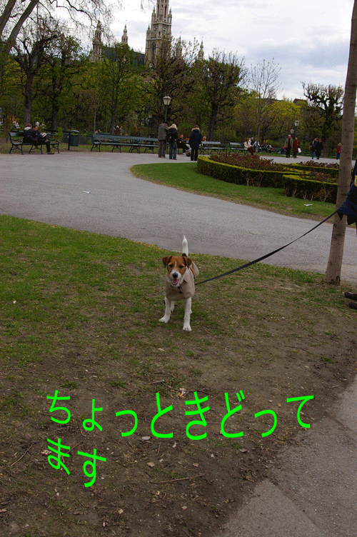 f0077150_4314118.gif