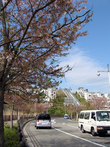 f0007956_17325443.jpg