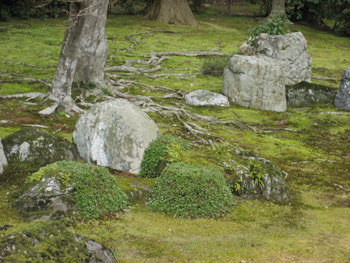 f0009457_20194489.jpg