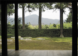 f0009457_20255477.jpg