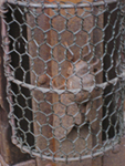 f0009457_20451675.jpg