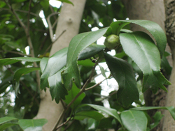 f0009457_221086.jpg